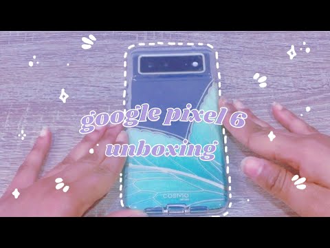 google pixel 6