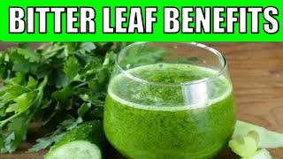 7 Surprising Bitter Leaf Health Benefits ( & SIDE EFFECTS)