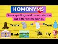 Understanding Homonyms