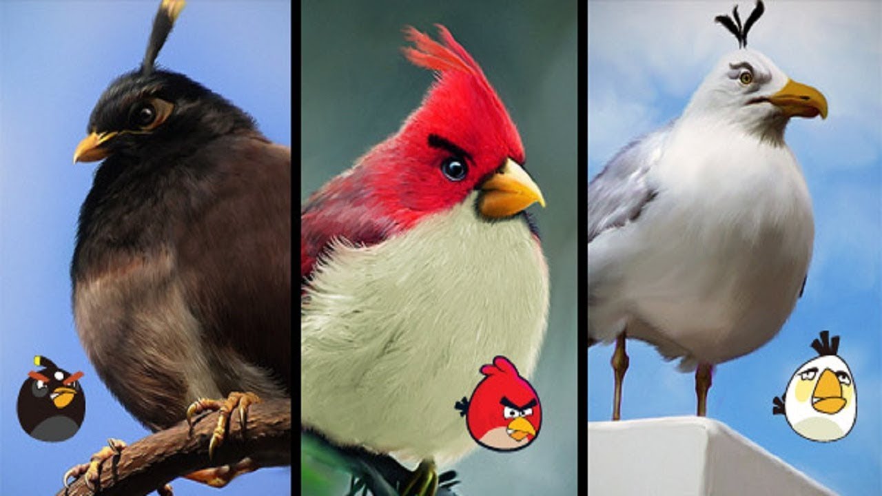 angry, birds, angry birds, angry birds(game), gene(comedy), gene(real...