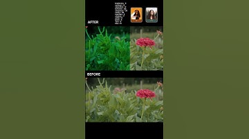 Cinematic Colour Grading 🔥 CapCut Tutorial