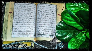 Quran The Opening. أداء جميل لسورة الفاتحة - الدوسري