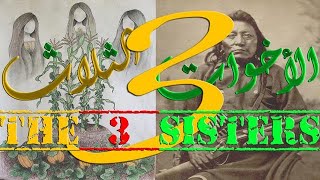 زراعة الأخوات الثلاثة THREE SISTERS في البيت (الجزء الثالث) | الحياة السننية