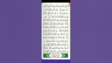 سورة التغابن || القارئ الشيخ راشد مشارى العفاسي ﴿ كاملة ﴾ بصوت هادئ ومريح