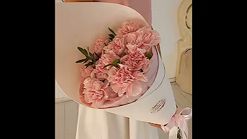 Букет из 9 розовых диантусов