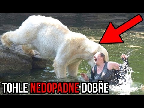 Video: Krupobití V Zoo V Coloradu Zabíjí Dvě Zvířata