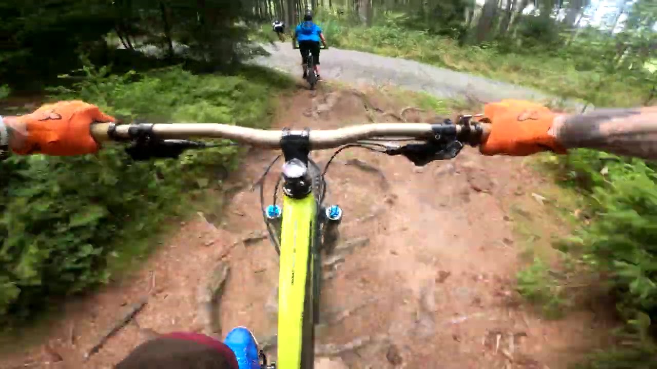 Einfach rollen lassen!  Enduro Trail am Kornberg im Fichtelgebirge