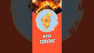 İçinde Volkan Taşıyan Küçük Torchic Bilinmeyen Bir Bilgi