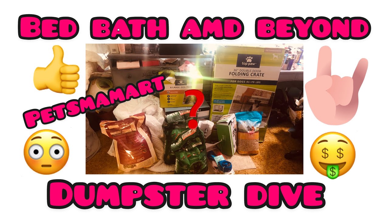 bed bath and beyond petsmart haul YouTube