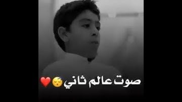 القارئ أنس شهاب/ حالات واتس اب مقاطع انستقرام قصيرة