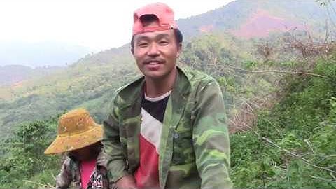 Mus khawb qos los pub qaib  xwb 2020 04 18 22 26 03