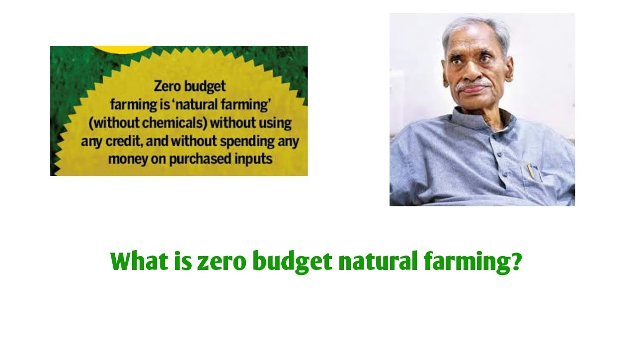 What Is Zero Budget Natural Farming YouTube what-is-zero-budget-natural-farming-youtube