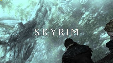Elder Scrolls V  Skyrim Graphics Glitch Unplayable