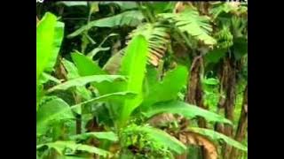 [ANTV] ANGKER BANGET MISTERI TEROWONGAN SESAKSAAT