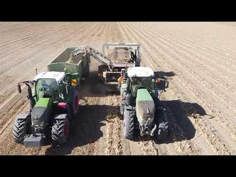 Lovett Family Farm Onions 