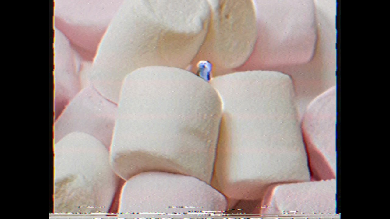 Marshmallow & Puppet