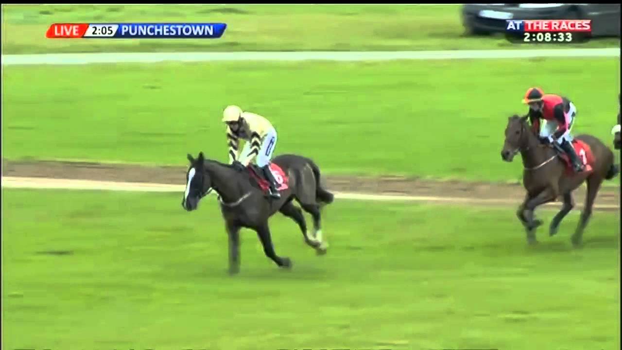 Up For Review - Dorans Pride Novice Hurdle (Grade 2) - 2015