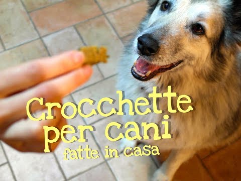 CROCCHETTE PER CANI FATTE IN CASA DA BENEDETTA - Homemade Dog Food