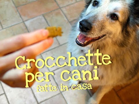 Video: Perché i cani di piccola taglia sono suscettibili alla perdita dei denti?