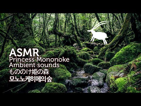 ASMR Princess Mononoke 3D Ambient Sounds | 모노노케히메의 숲 입체 음향 | もののけ姫の森 | 원령공주