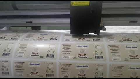 Locor printer + cutting plotter work together.