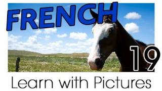 Learn French - French Farm Animals Vocabulary