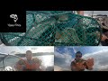 Quigley Fishing Crab pot hauls 2023 | Irish Spider crabs, scorpion fish, sea snails and more!