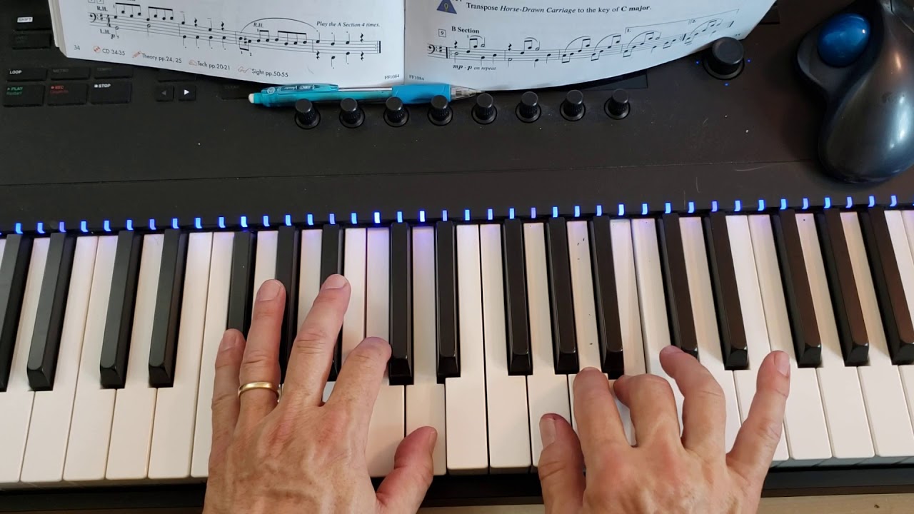 Horse-Drawn Carriage Part 1 slow counting - YouTube