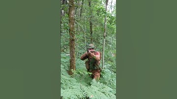 Hidden and Dangerous #ww2 #british #stengun