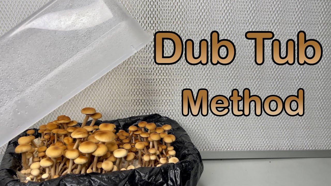 How to Grow Mushrooms: Dub Tub Method