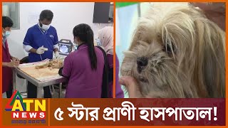 ঢাকায় কুকুর বেড়ালের ৫ স্টার হাসপাতাল | Dhaka | Five Star Hospital | ATN News