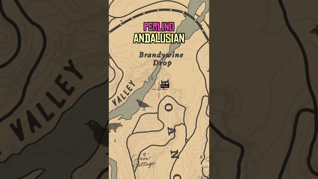 5 RARE Horses Location In RDR2 Rdr2 Reddeadredemption