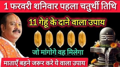 1 फरवरी शनिवार पहला विनायक चतुर्थी तिथि को 11 गेहूं के दाने वाला उपाय जरूर करे || Pradeep Mishra Ji