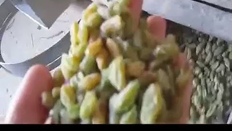 Raisin Color Separator/Raisin color sorter/raisin color sorting machine