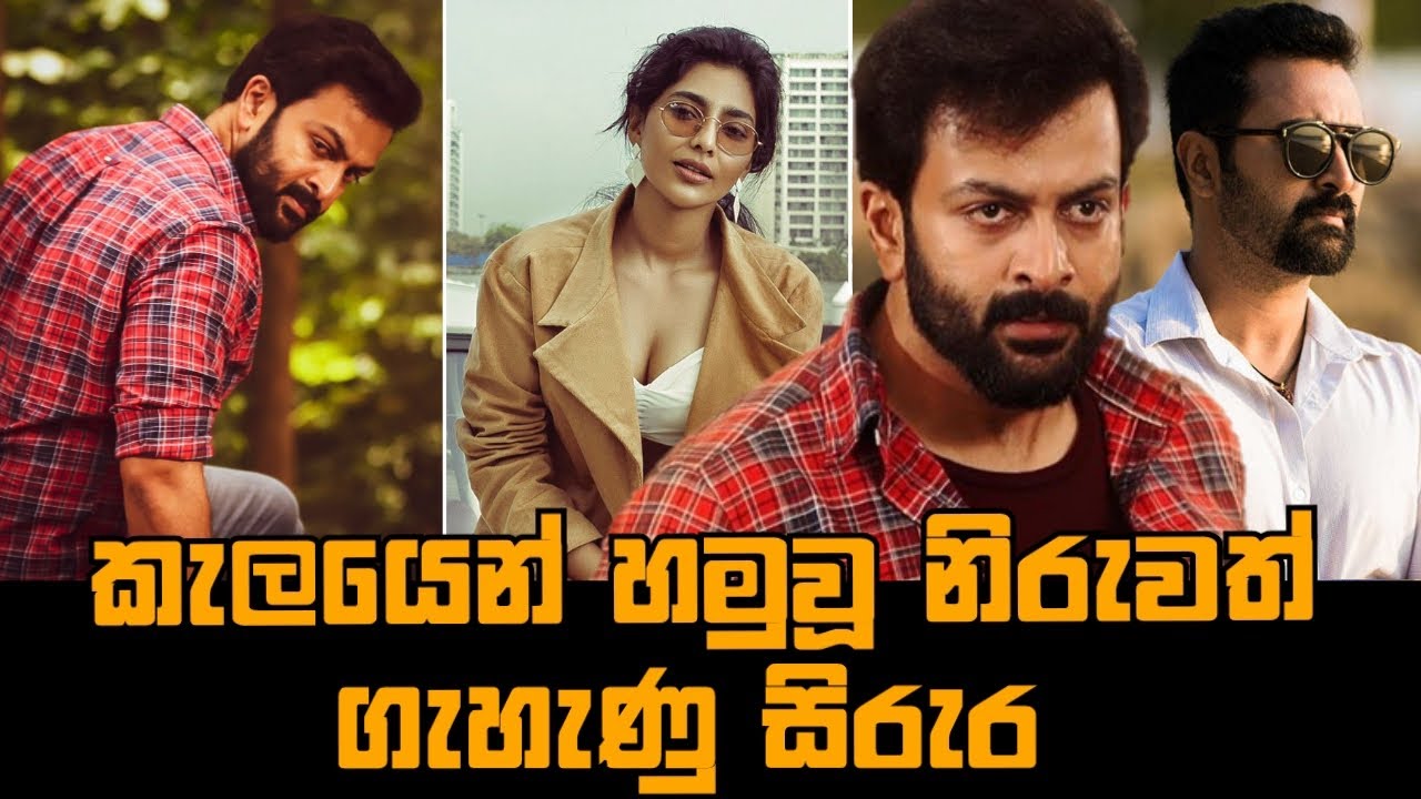 කැලයෙන් හමුවූ නිරුවත් ගැහැණු සිරුර Brother's Day Movie Explained in