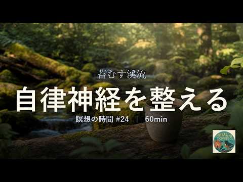 自律神経を整える、苔むす渓流の森｜やさしいピアノ60分