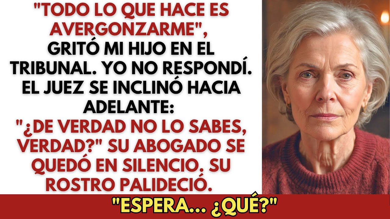 En el tribunal, mi hijo dijo: «Me avergüenzas»… hasta que el juez se inclinó y dijo…