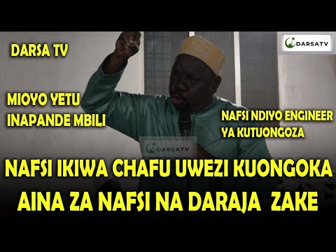 Video: Aina Za Chafu