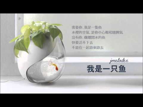 任贤齐-我是一只魚 by jmelodee