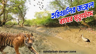 সনদরবনর সবচয খতরনক জঙগল যখন বঘ শসন কর Royal Bengal Tiger Forest Sundarban Tour