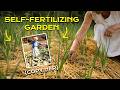 The Self-Fertilizing Garden (Plants Feed Themselves)