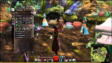 GW2 Basics - Salvage Kits