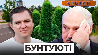 видео: Лукашенко послали в Столине! Почобут повторит путь Статкевича? Турчин признал катастрофу в Беларуси! картинка: Лукашенко послали в Столине! Почобут повторит путь Статкевича? Турчин признал катастрофу в Беларуси!