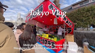 Tokyo Dairy | Mieji Jingu, Ueno Park, Old town Yanaka Ginza, Shinjuku Godzilla, APA Hotel Kabukicho