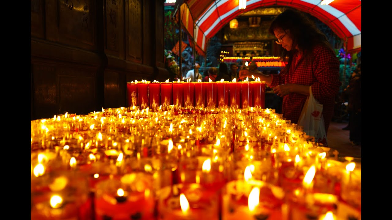 Plum blossom: the national flower of taiwan Discovering Chinese New Year in Taipei - YouTube