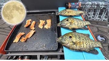 Blackened Shellcracker Catch n