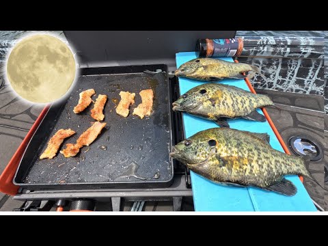 Blackened Shellcracker Catch