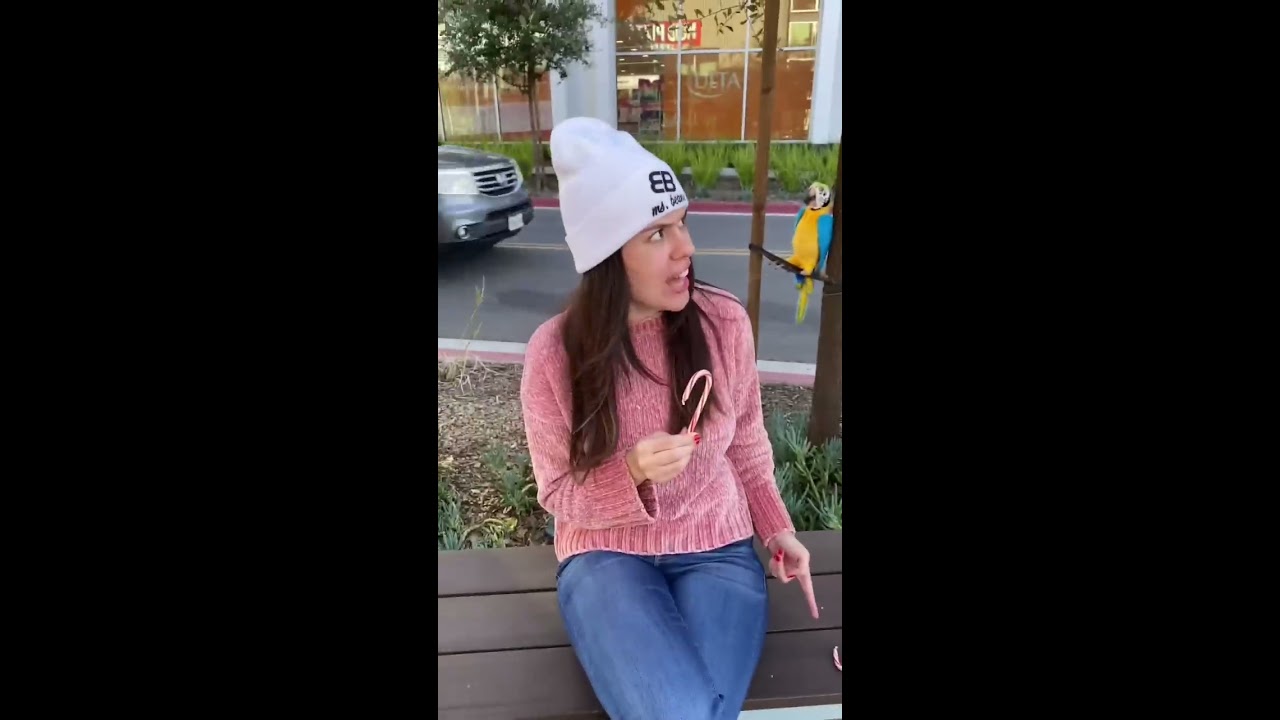 CAN I HAVE A CANDY CANE Msbeanie