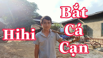 Bí Thư Già Đi Bắt Cá Hoá Ra...?