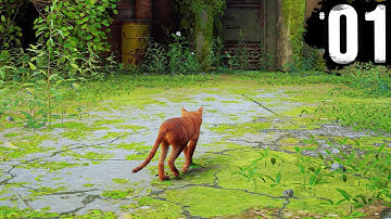 STRAY - Part 1 - A New Cat Adventure